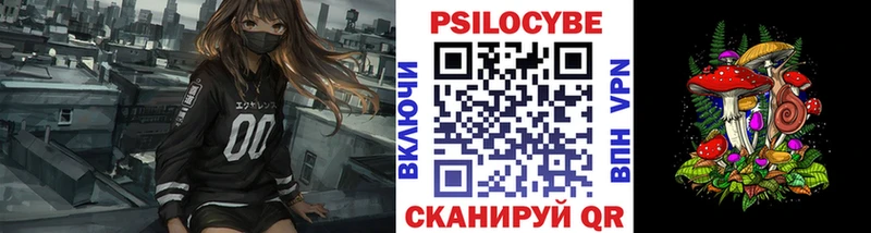 Галлюциногенные грибы мицелий  Кувшиново 